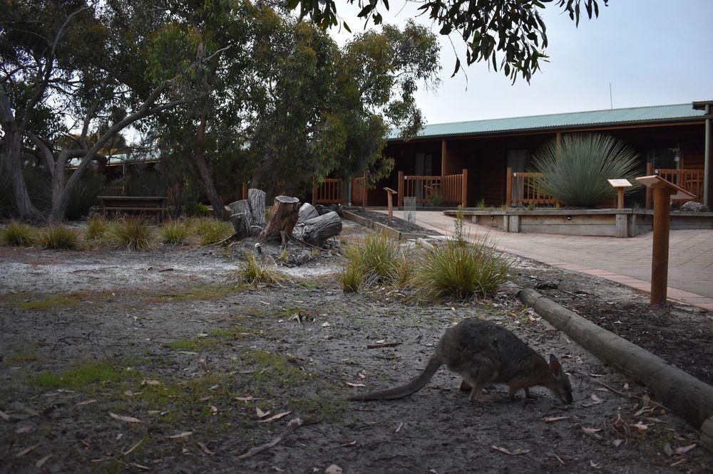 Kangaroo Island Wilderness Retreat Flinders Chase ภายนอก รูปภาพ