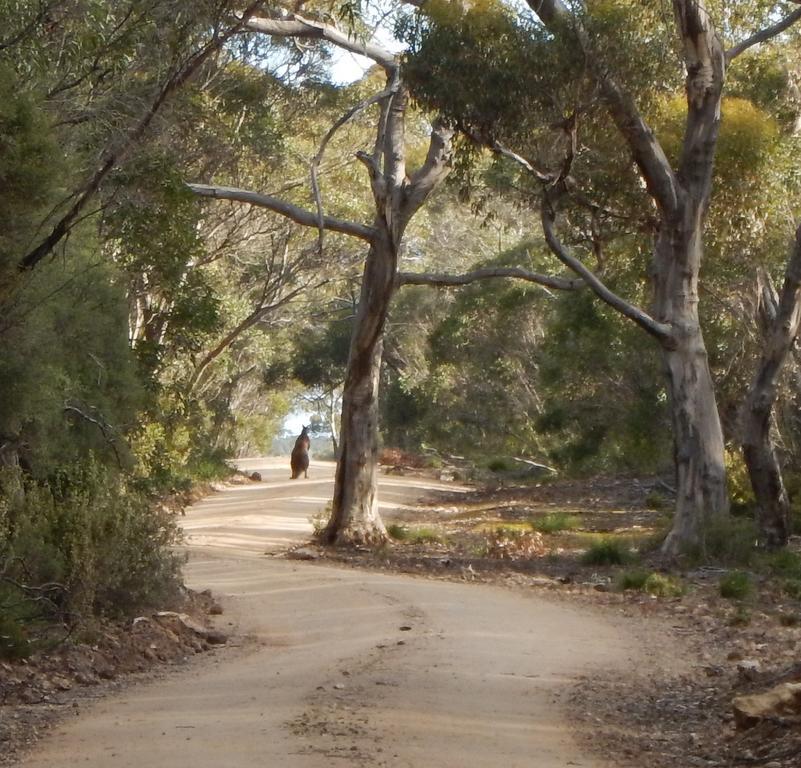 Kangaroo Island Wilderness Retreat Flinders Chase ภายนอก รูปภาพ