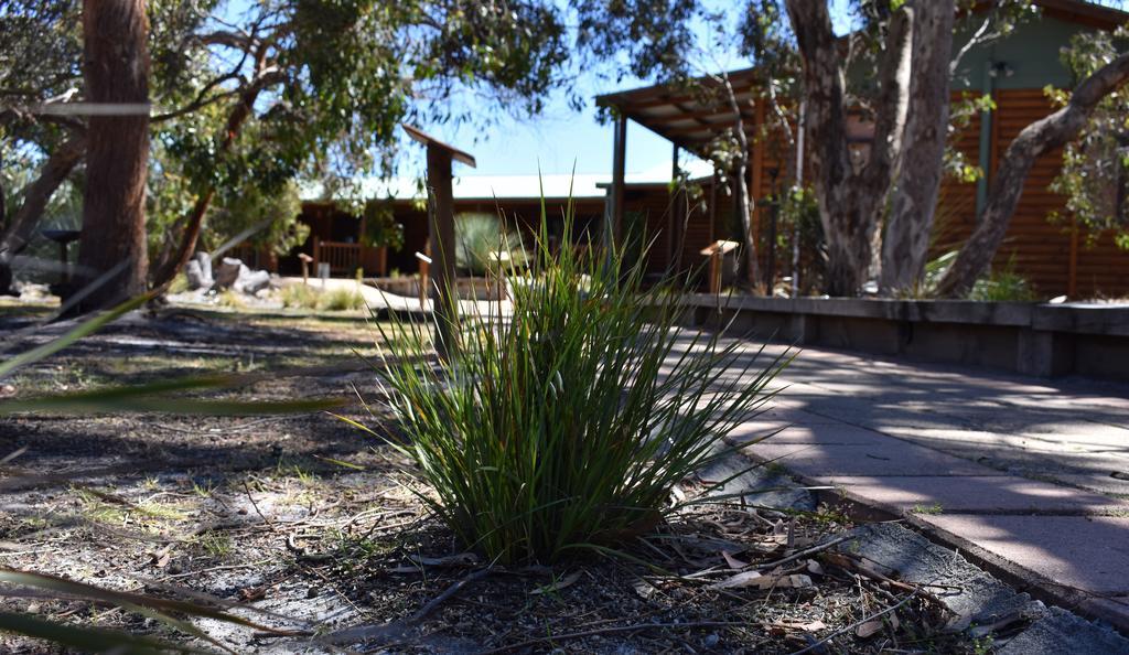 Kangaroo Island Wilderness Retreat Flinders Chase ภายนอก รูปภาพ