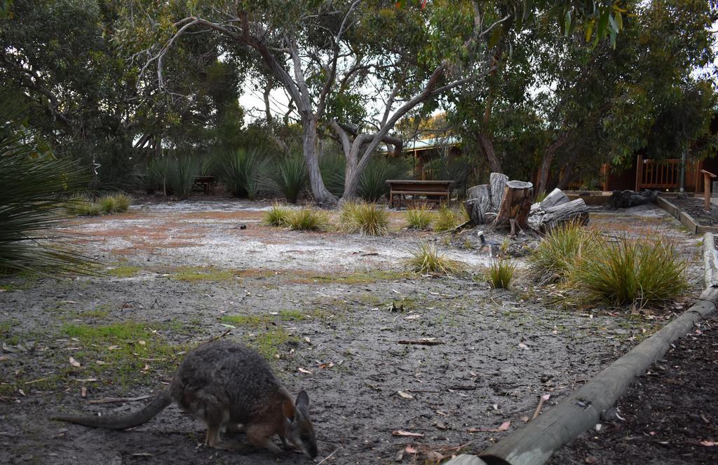 Kangaroo Island Wilderness Retreat Flinders Chase ภายนอก รูปภาพ