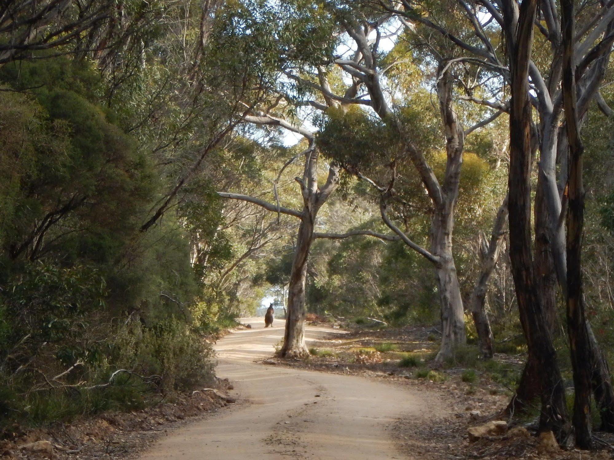 Kangaroo Island Wilderness Retreat Flinders Chase ภายนอก รูปภาพ