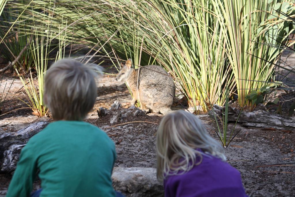 Kangaroo Island Wilderness Retreat Flinders Chase ภายนอก รูปภาพ